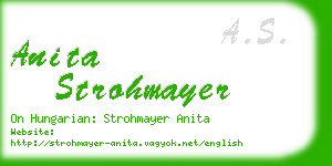 anita strohmayer business card